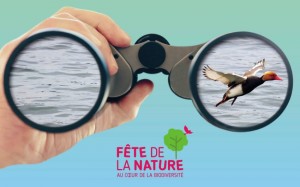 fete_de_la_nature